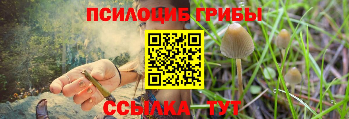 Богородицк  Галлюциногенные грибы Magic Shrooms  Вход с VPN 